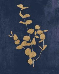 Botanical Study II Gold Navy | Obraz na stenu