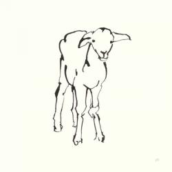 Line Lamb | Obraz na stenu