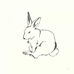 Line Bunny I | Obraz na stenu