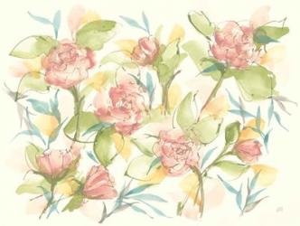 Blush Camellias | Obraz na stenu