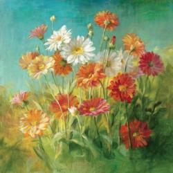 Painted Daisies | Obraz na stenu