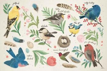 Bird Study I | Obraz na stenu