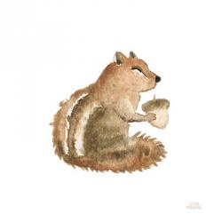 Woodland Whimsy Squirrel | Obraz na stenu