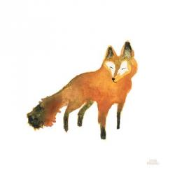 Woodland Whimsy Fox | Obraz na stenu