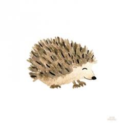 Woodland Whimsy Hedgehog | Obraz na stenu