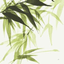 Bamboo IV Green | Obraz na stenu
