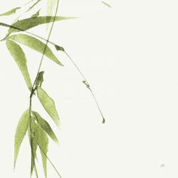 Bamboo V Green | Obraz na stenu