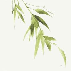 Bamboo VI Green | Obraz na stenu