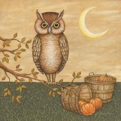 Halloween Owl | Obraz na stenu