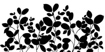 Leafy Grove | Obraz na stenu