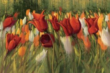 Tipsy Tulips | Obraz na stenu