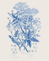 Flowering Plants I Mid Blue | Obraz na stenu