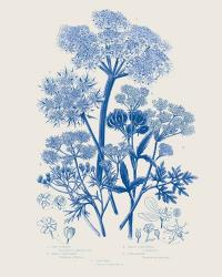 Flowering Plants VI Mid Blue | Obraz na stenu