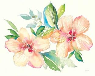 Pastel Garden Hibiscus | Obraz na stenu