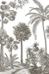 Palm Oasis I | Obraz na stenu