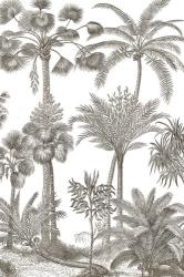 Palm Oasis II | Obraz na stenu