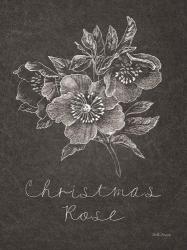 Black and White Chalkboard Christmas III | Obraz na stenu