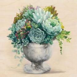 Festive Succulents I | Obraz na stenu