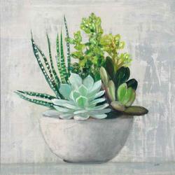 Succulent Still Life II | Obraz na stenu