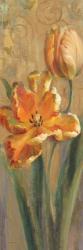 Parrot Tulips on Gold I | Obraz na stenu