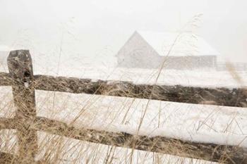 Snowy Day | Obraz na stenu