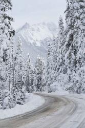 Mount Baker Highway II | Obraz na stenu