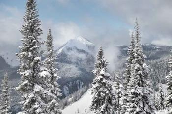 North Cascades in Winter I | Obraz na stenu