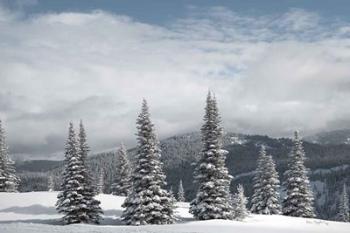 North Cascades in Winter II | Obraz na stenu