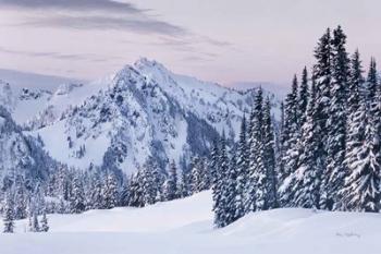 Tatoosh Range | Obraz na stenu