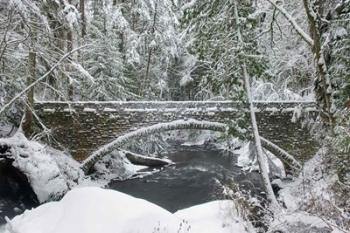 Whatcom Creek Bridge | Obraz na stenu