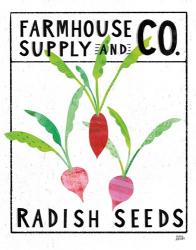 Kitchen Garden Seed Packet I | Obraz na stenu