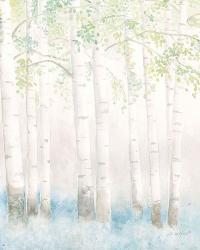 Soft Birches III | Obraz na stenu
