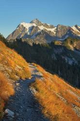 Mount Shuksan North Cascades | Obraz na stenu