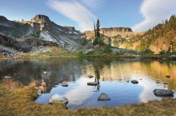 Heather Meadows in Autumn | Obraz na stenu