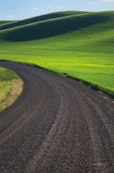 Going Through Palouse Wheat Fields | Obraz na stenu