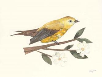 Birds and Blossoms I | Obraz na stenu