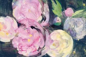 Evening Peonies I | Obraz na stenu