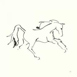 Line Horse VII | Obraz na stenu