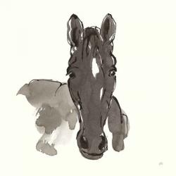 Horse Portrait IV | Obraz na stenu