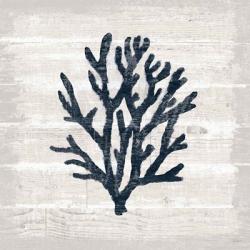 Driftwood Coast VII Blue | Obraz na stenu