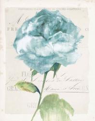 Antique Floral II Blue Vintage | Obraz na stenu