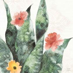 Sweet Southwest IV | Obraz na stenu