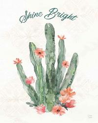 Sweet Southwest XIV | Obraz na stenu