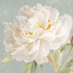 Garden Peony Neutral Crop | Obraz na stenu