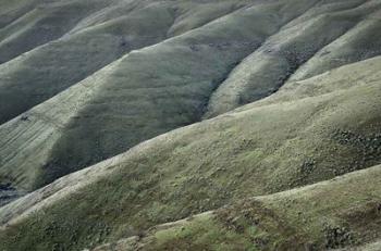 Columbia Plateau Oregon | Obraz na stenu