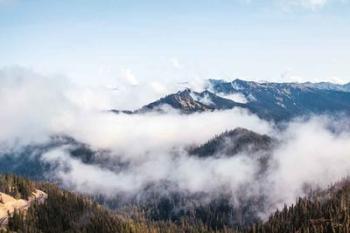 Hurricane Ridge II | Obraz na stenu