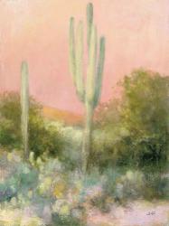 Sunrise Desert II | Obraz na stenu