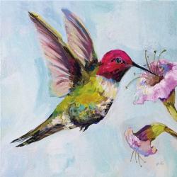 Hummingbird I | Obraz na stenu