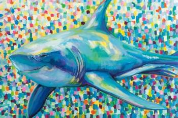 Chatham Shark | Obraz na stenu