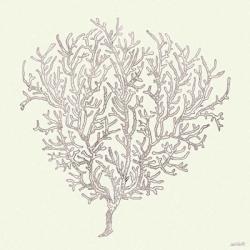 Coastal Breeze Shell Sketches I Silver | Obraz na stenu